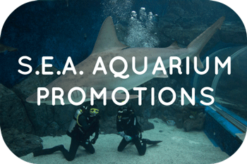S.E.A. Aquarium promotion