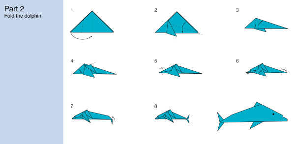dolphin-2