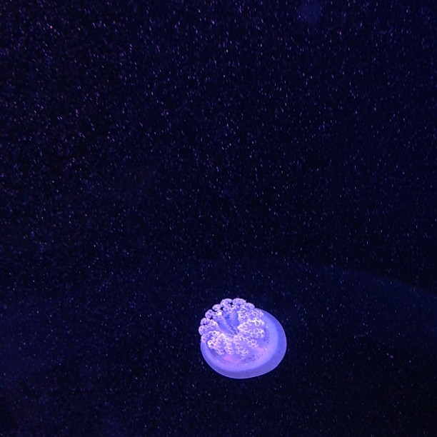 Glowing star.