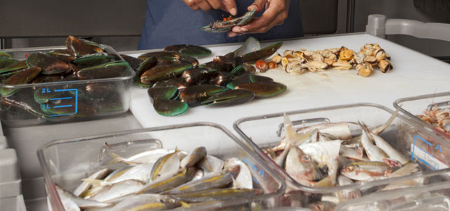 Preparing seafood for marine animals