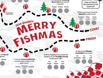 Merry Fishmas adventure trail at S.E.A. Aquarium