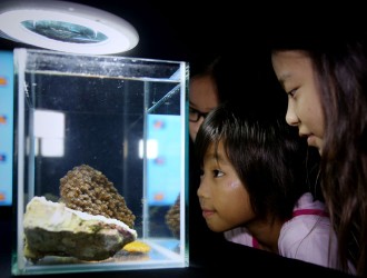 kids-coral-featured